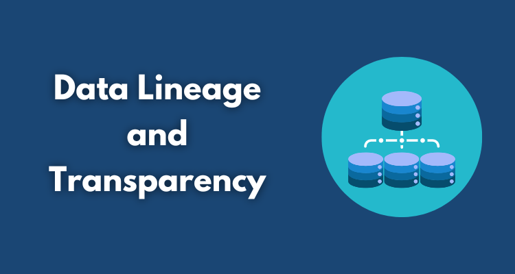 Data Lineage and Transparency in Modern Analytics