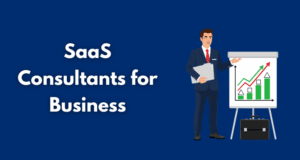 SaaS Consultants for Business