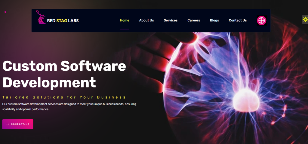 Redstaglabs.com software developement service landing page image.