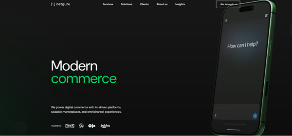 Netgure modern commerce homepage