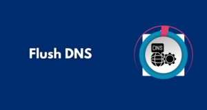 Flush DNS