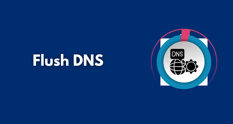 Flush DNS