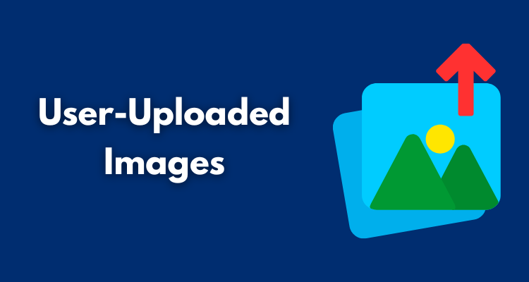 User-Uploaded Images