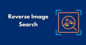Reverse Image Search