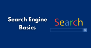 Search Engine Basics