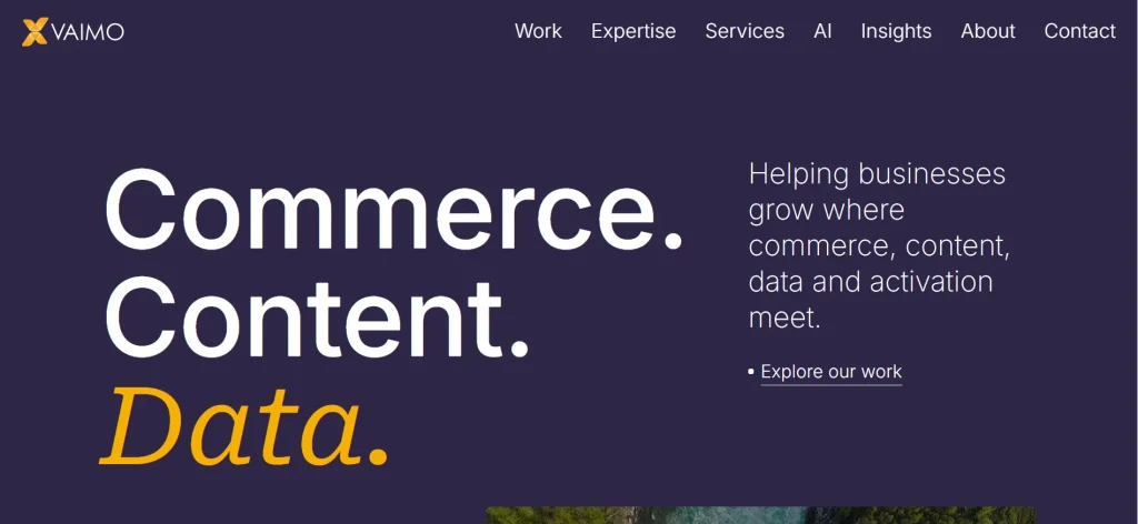 Home page of Vaimo